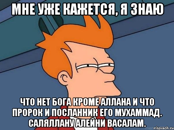 мне уже кажется, я знаю что нет бога кроме Аллаhа и что пророк и посланник его Мухаммад. саляллаhу алейhи васалам., Мем  Фрай (мне кажется или)