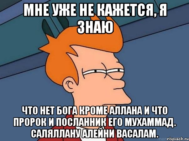 мне уже не кажется, я знаю что нет бога кроме Аллаhа и что пророк и посланник его Мухаммад. саляллаhу алейhи васалам., Мем  Фрай (мне кажется или)