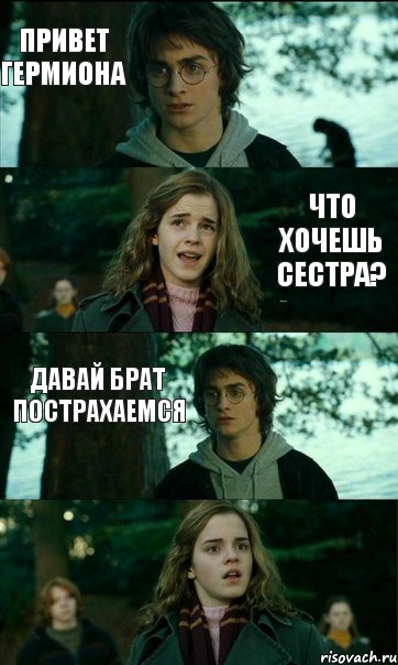 Привет Гермиона Привет Гарри что хочешь сестра? давай брат пострахаемся
