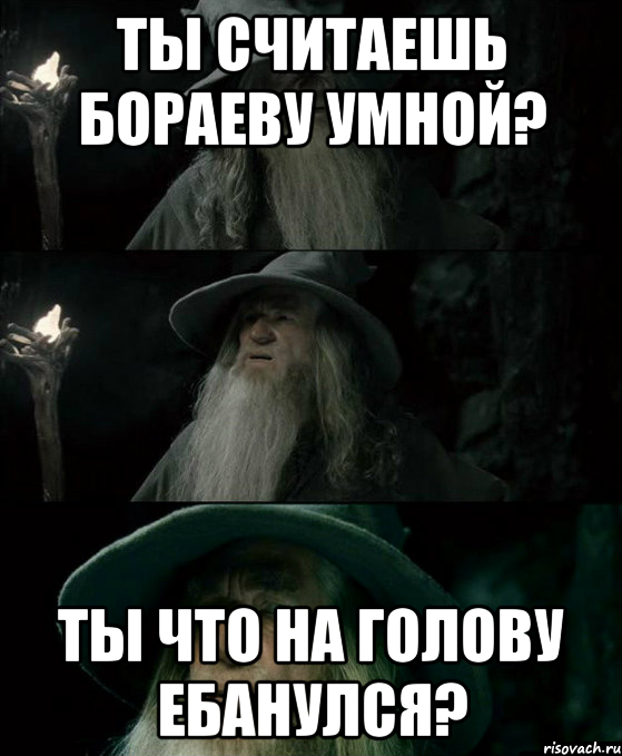 Ты считаешь Бораеву умной? Ты что на голову ебанулся?, Комикс Гендальф заблудился