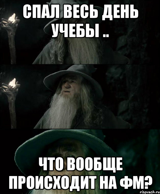 Спал весь день учебы .. Что вообще происходит на ФМ?, Комикс Гендальф заблудился