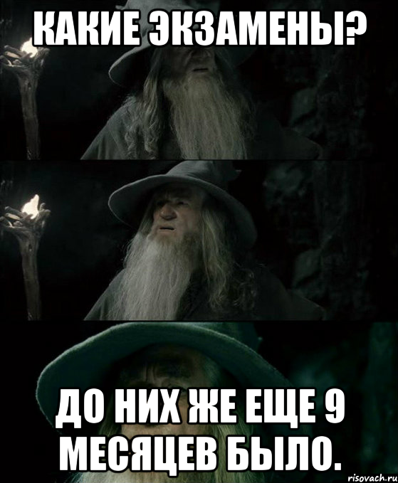 Какие экзамены? До них же еще 9 месяцев было., Комикс Гендальф заблудился