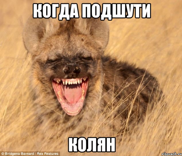 Когда подшути Колян
