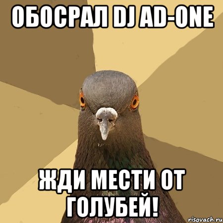 ОБОСРАЛ DJ AD-ONE ЖДИ МЕСТИ ОТ ГОЛУБЕЙ!, Мем голубь