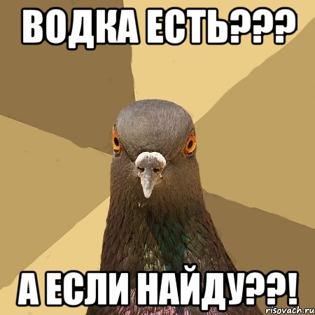 Водка есть??? А если найду??!, Мем голубь