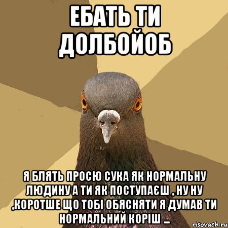 ЕБАТЬ ТИ ДОЛБОЙОБ Я БЛЯТЬ ПРОСЮ СУКА ЯК НОРМАЛЬНУ ЛЮДИНУ А ТИ ЯК ПОСТУПАЄШ , НУ НУ ,КОРОТШЕ ЩО ТОБІ ОБЯСНЯТИ Я ДУМАВ ТИ НОРМАЛЬНИЙ КОРіШ ..., Мем голубь