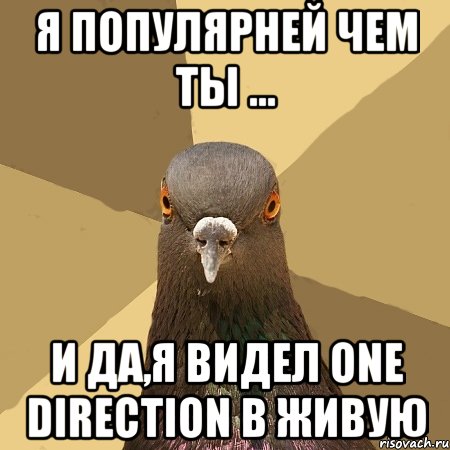 Я ПОПУЛЯРНЕЙ ЧЕМ ТЫ ... И ДА,Я ВИДЕЛ ONE DIRECTION В ЖИВУЮ, Мем голубь