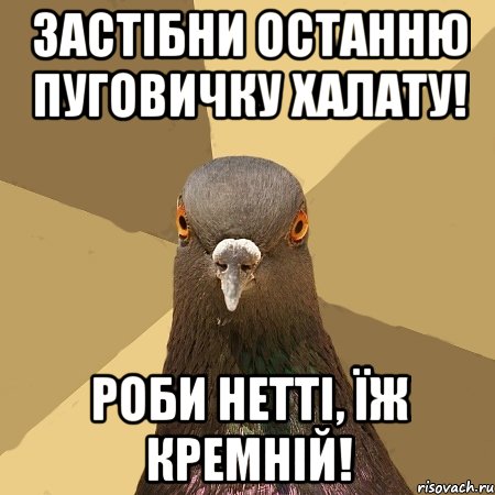 Застібни останню пуговичку халату! Роби нетті, їж кремній!, Мем голубь