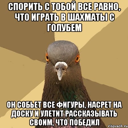 спорить с тобой все равно, что играть в шахматы с голубем он собьет все фигуры, насрет на доску и улетит рассказывать своим, что победил, Мем голубь