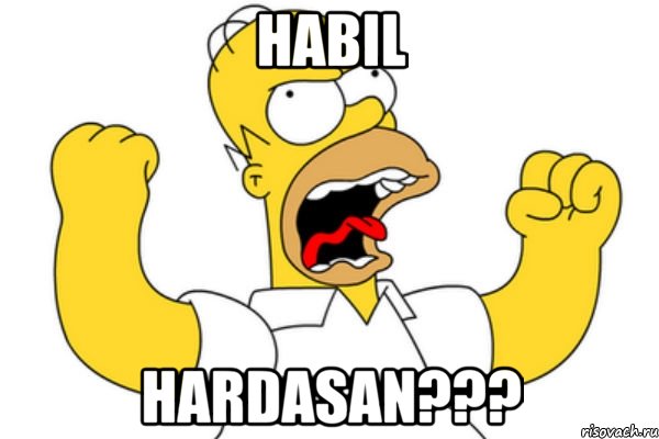 habil hardasan???, Мем Разъяренный Гомер