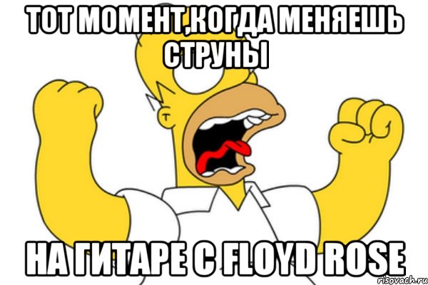 Тот момент,когда меняешь струны на гитаре c Floyd Rose, Мем Разъяренный Гомер