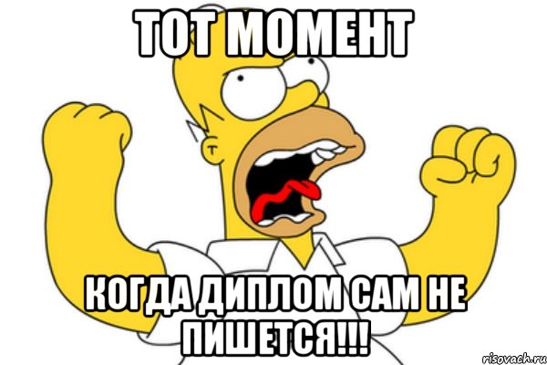 Тот момент когда диплом сам не пишется!!!, Мем Разъяренный Гомер