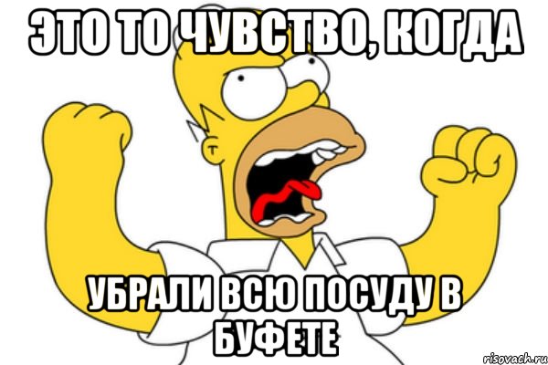 Это то чувство, когда убрали всю посуду в буфете, Мем Разъяренный Гомер