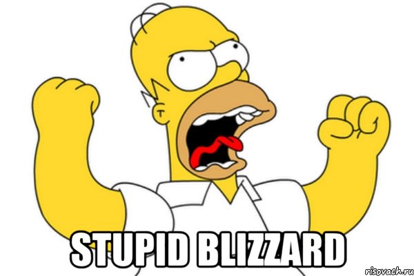  Stupid Blizzard, Мем Разъяренный Гомер