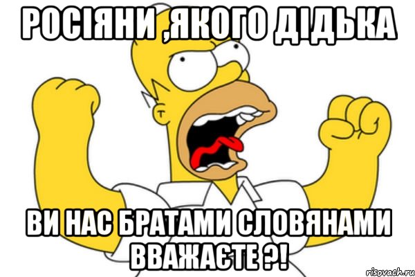 Росіяни ,якого дідька ви нас братами словянами вважаєте ?!, Мем Разъяренный Гомер