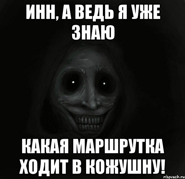 Инн, а ведь я уже знаю Какая маршрутка ходит в Кожушну!, Мем Ночной гость