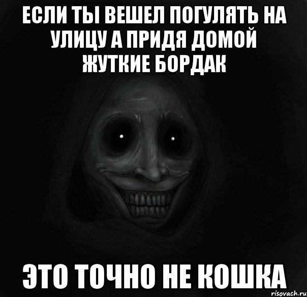 Если ты вешел погулять на улицу а придя домой жуткие бордак Это точно не кошка, Мем Ночной гость