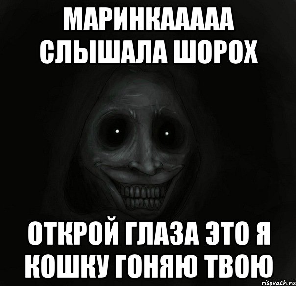 Маринкааааа слышала шорох открой глаза это я кошку гоняю твою, Мем Ночной гость