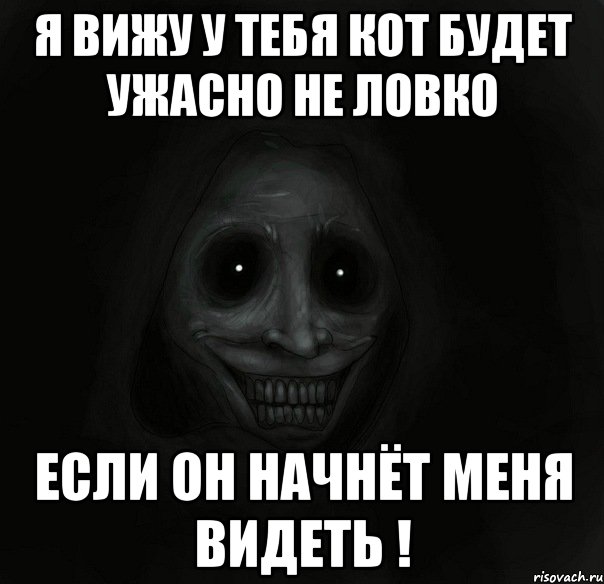 Я вижу у тебя кот будет ужасно не ловко Если Он начнёт меня видеть !, Мем Ночной гость