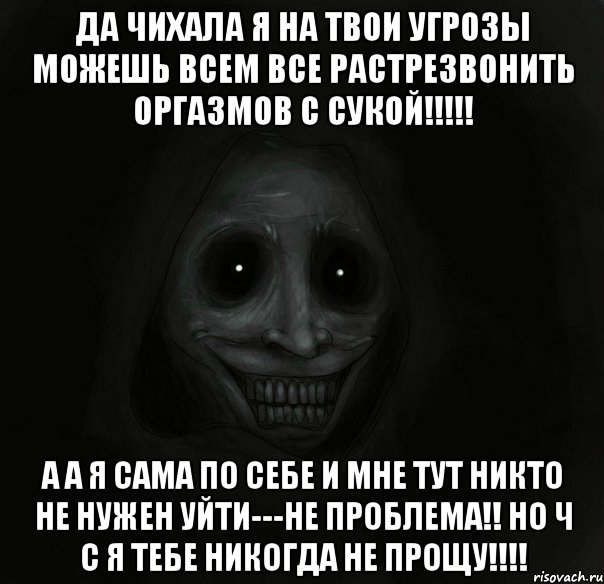 Да чихала я на твои угрозы Можешь всем все растрезвонить Оргазмов с сукой!!!!! А а я сама по себе И мне тут никто не нужен Уйти---не проблема!! Но Ч С я тебе никогда не прощу!!!!, Мем Ночной гость