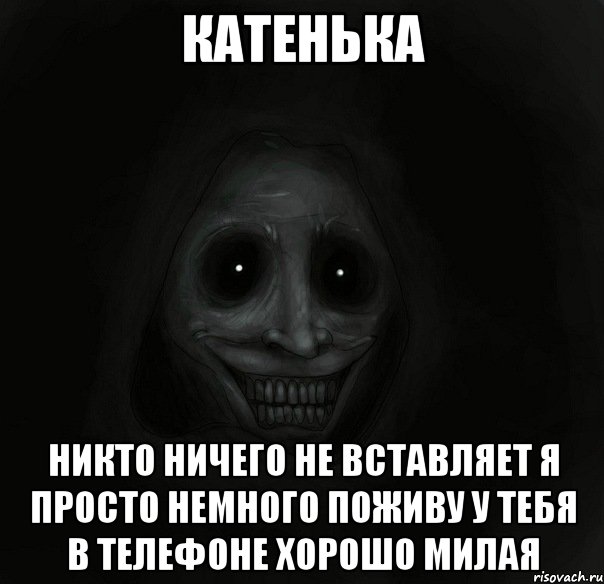 Катенька никто ничего не вставляет я просто немного поживу у тебя в телефоне хорошо милая, Мем Ночной гость