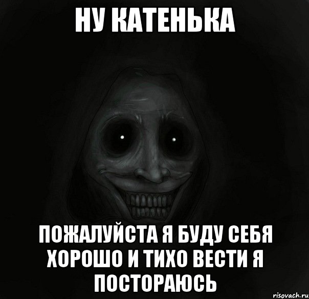 Ну катенька пожалуйста я буду себя хорошо и тихо вести я постораюсь, Мем Ночной гость