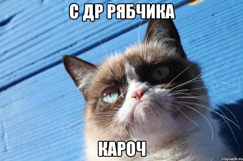 С др рябчика Кароч, Мем  grumpy cat