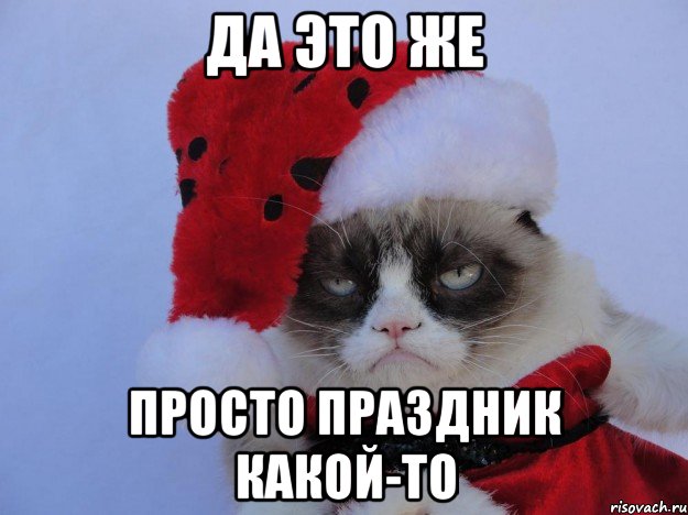 grumpy-cat_49211663_orig_.jpeg