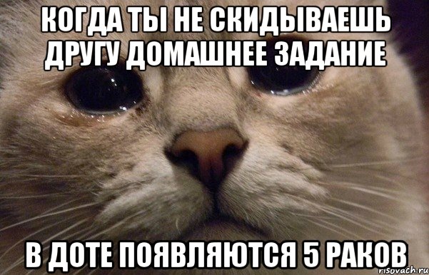 Когда ты не скидываешь другу домашнее задание В доте появляются 5 раков, Мем   В мире грустит один котик