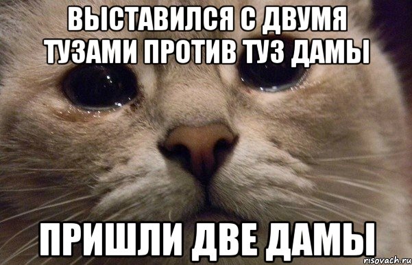 выставился с двумя тузами против туз дамы пришли две дамы, Мем   В мире грустит один котик