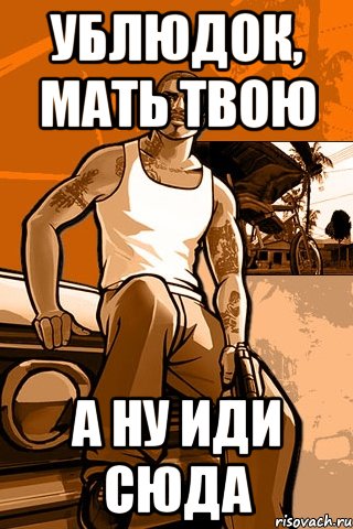 Ублюдок, мать твою а ну иди сюда, Мем GTA