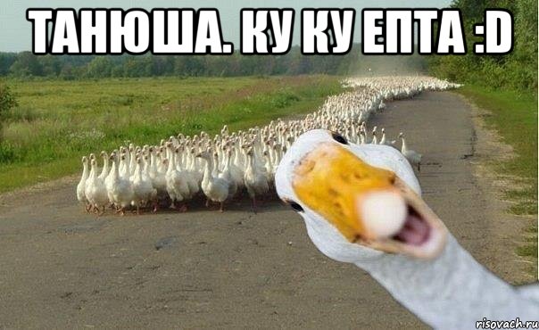 Танюша. Ку Ку Епта :D , Мем гуси