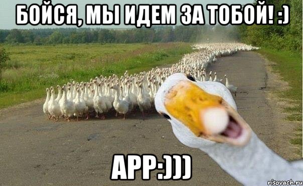 Бойся, мы идем за тобой! :) Арр:))), Мем гуси