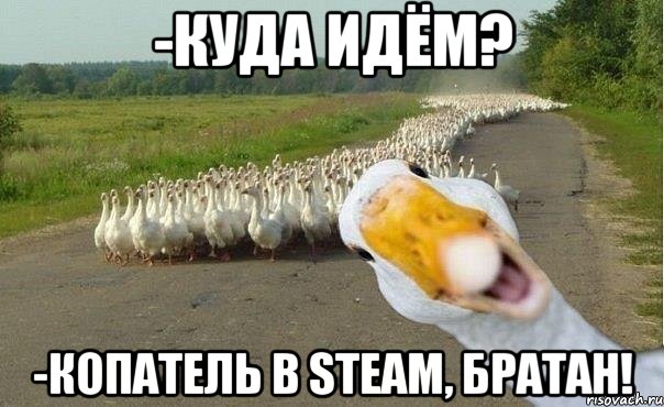 -Куда идём? -Копатель в Steam, братан!, Мем гуси