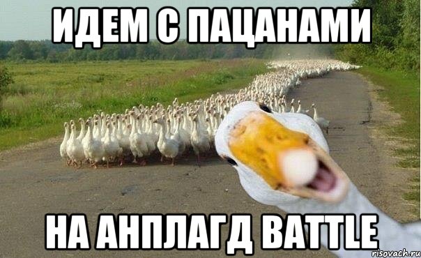 Идем с пацанами на Анплагд Battle, Мем гуси