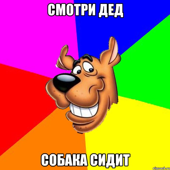 Смотри дед собака сидит, Мем hardscooby