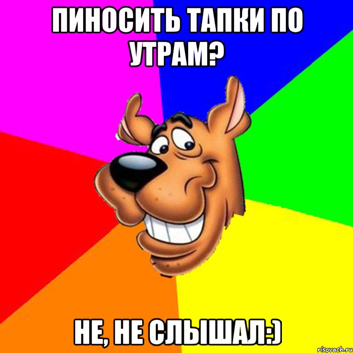 Пиносить тапки по утрам? Не, не слышал:)