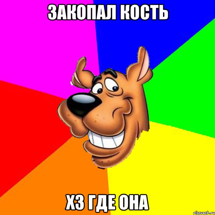 закопал кость хз где она