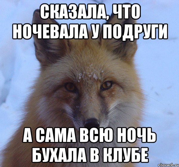 сказала, что ночевала у подруги а сама всю ночь бухала в клубе