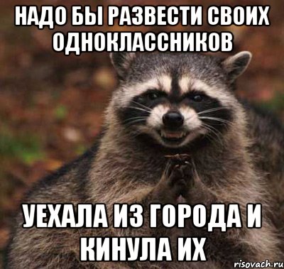 Надо бы развести своих одноклассников Уехала из города и кинула их, Мем  Хитрый енот