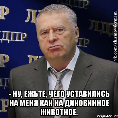  - Ну, ежьте, чего уставились на меня как на диковинное животное., Мем Хватит это терпеть (Жириновский)