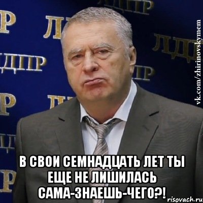  В свои семнадцать лет ты еще не лишилась сама-знаешь-чего?!, Мем Хватит это терпеть (Жириновский)