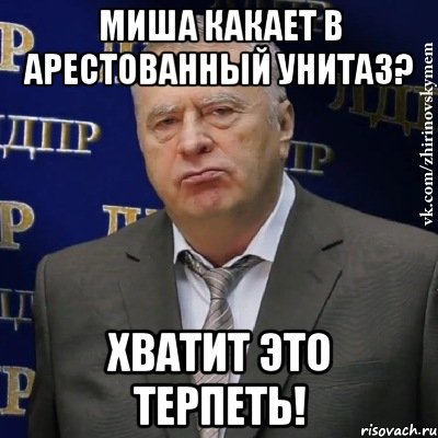 Миша какает в арестованный унитаз? хватит это терпеть!, Мем Хватит это терпеть (Жириновский)