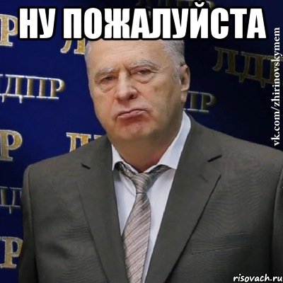 Ну пожалуйста , Мем Хватит это терпеть (Жириновский)