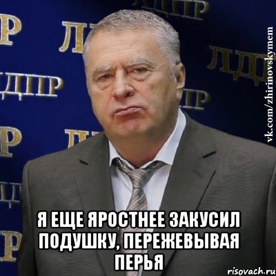  Я еще яростнее закусил подушку, пережевывая перья, Мем Хватит это терпеть (Жириновский)