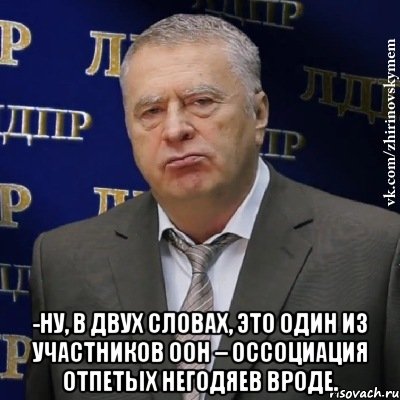  -Ну, в двух словах, это один из участников ООН – оссоциация отпетых негодяев вроде., Мем Хватит это терпеть (Жириновский)