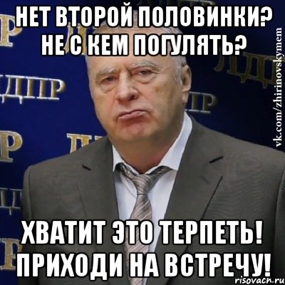 Нет второй половинки? Не с кем погулять? Хватит это терпеть! Приходи на встречу!, Мем Хватит это терпеть (Жириновский)