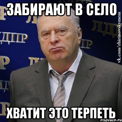 ЗАбирают в село хватит это терпеть, Мем Хватит это терпеть (Жириновский)