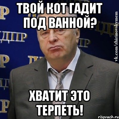 Твой кот гадит под ванной? Хватит это терпеть!, Мем Хватит это терпеть (Жириновский)