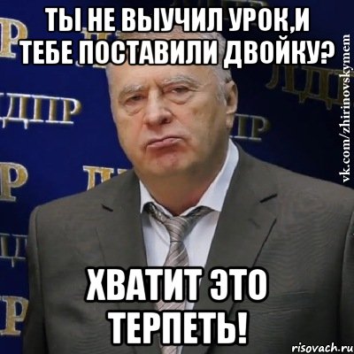 Ты не выучил урок,и тебе поставили двойку? Хватит это терпеть!, Мем Хватит это терпеть (Жириновский)